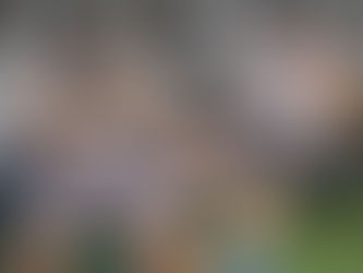 Sueños al borde de un nocaut (KO)