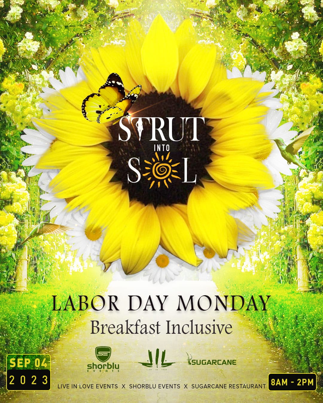 Strut Into Sol 2023 Flyer