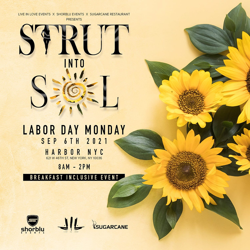 Strut Into Sol