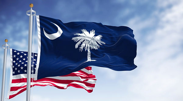 God's Kudzu Killer South Carolina Flag