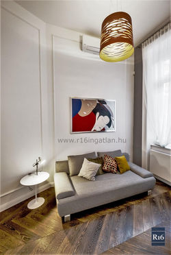 Renovated luxury flat