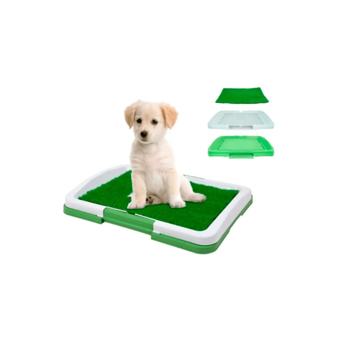 Baño ecológico para mascotas