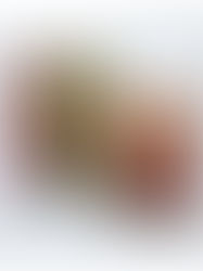 Ckdでデザインした「生誕130年 児島善三郎 展」の図録がADC AWARDに入選しました!