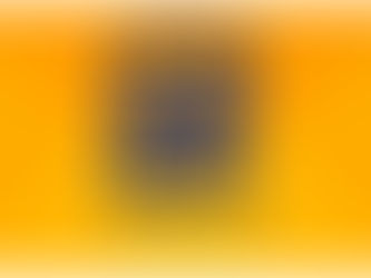 GO FOR IT !! Commitment to Excellence Endorcement