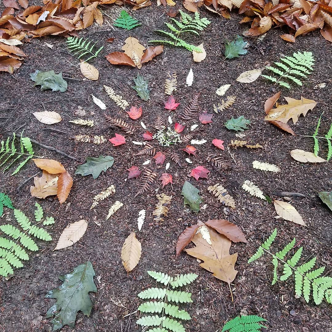 mandala of leaves on earth
