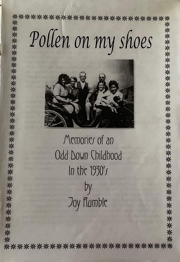 pollen on my shoes.jpg