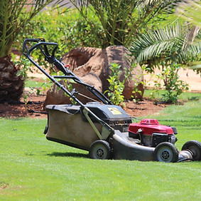 Lawn Mower Outdoors