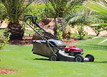 Gardenening and Lawn Lowing East London