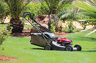 Lawn Mower Outdoors