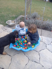 WhatsApp Image 2023-02-25 at 12.30.42.jpeg