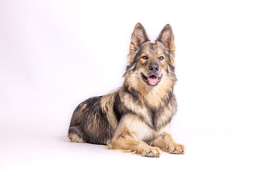 smith_art_314A7993sw_Original (priv. Nutzung) _89ae9c4b_.jpg