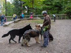 2020-10-18_Tierpark (64-1).jpg