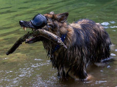 2022-05-17_Talalpsee (113) Kopie.jpg