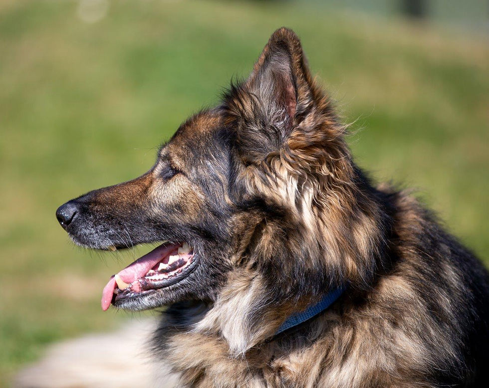 2022-03-27_Home (13) Kopie.jpg