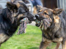 2021-04-18_Home (33-1).jpg