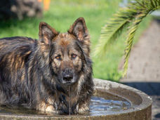 2020-07-18 (4-1).jpg