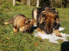 2015-12-03_Cholloch (38).jpg