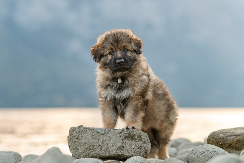 Bliss_DSC1984-Bearbeitet.jpg