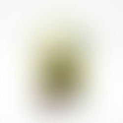 Registrador de Temperatura – Data Logger ITLOG-70