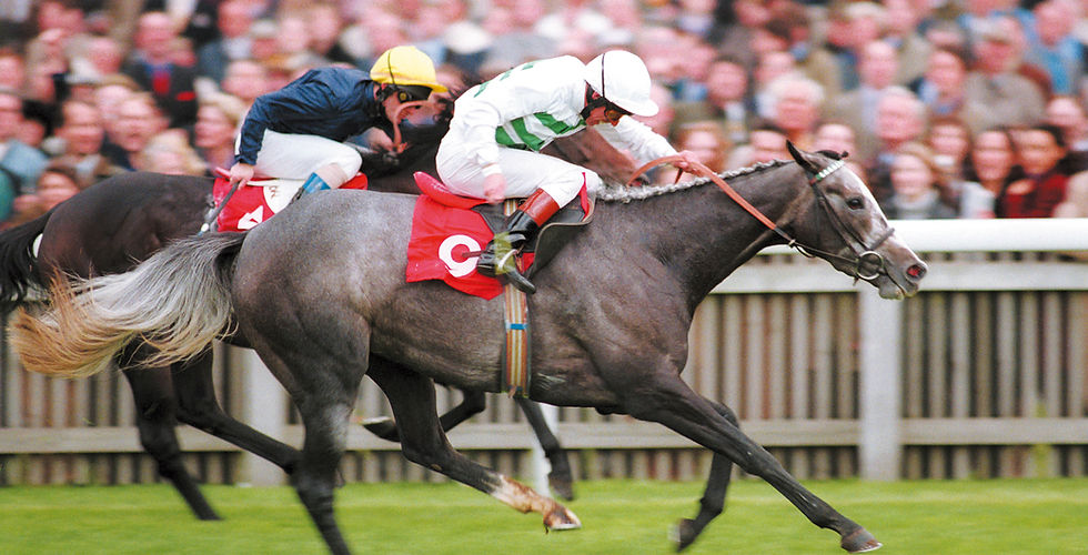 Alborada Gr1 Champion Stakes 1998.jpg