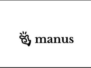 "Manus" - A New Artificial Intelligence Platform Making a Splash in the Tech World