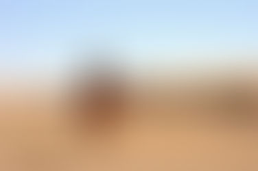 The largest deserts in the world