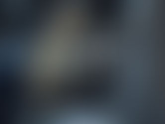 After the plane rat .. Monkey cuts off electricity across Sri Lanka