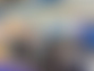 100 خيل تتنافس في السباق العاشر سباقات أبوظبي