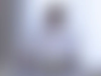 While chairing a meeting to review the government financial work system