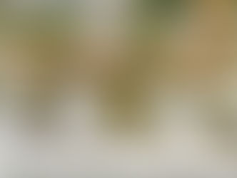 The 5 best beaches in Fujairah