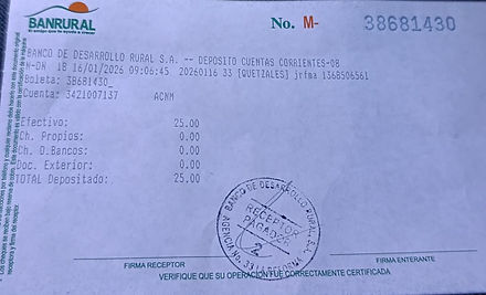 Ejemplo Boleta.jpg