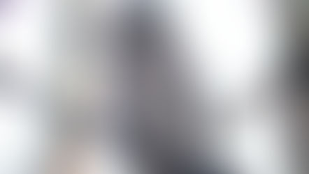 Here’s looking at you: In the woods — or in your backyard — you might see a barred owl this winter