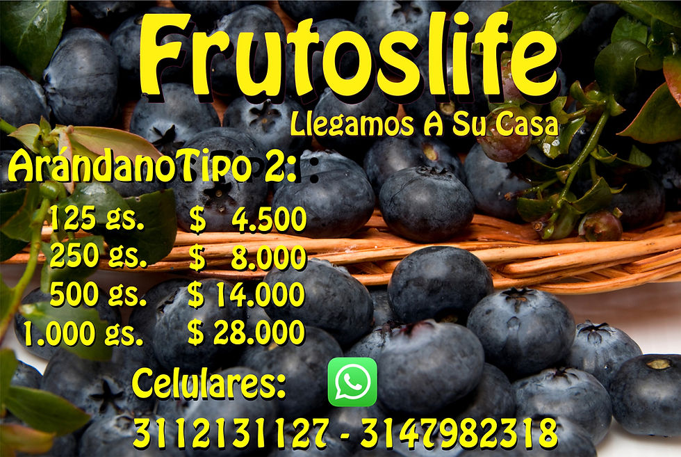 Arándanos Tipo 2