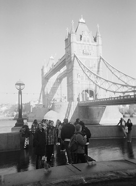 IMG_2394.jpg