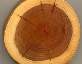 Hout Voor Meubels Materialenboek