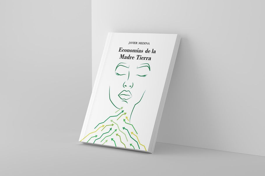 Tapa libro Medina 1.jpeg