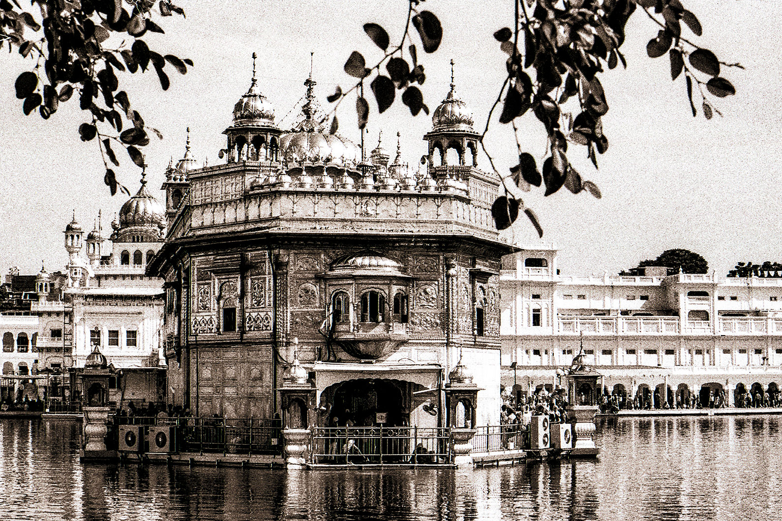 Darbar Sahib - Forever Lasting