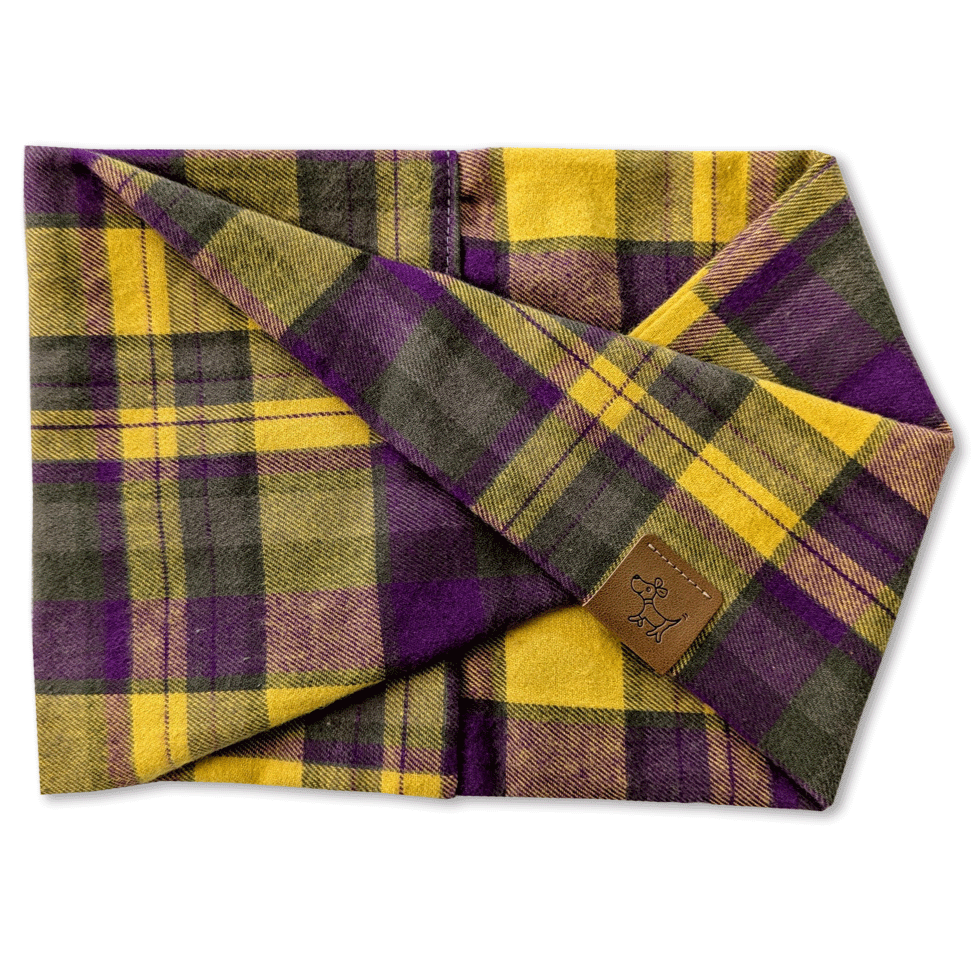 Izzy dog scarf