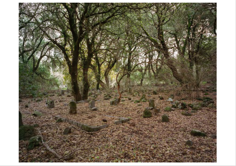 Mansura's cemetery © MS