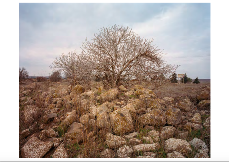 Mansura © MS