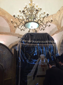 View from inside