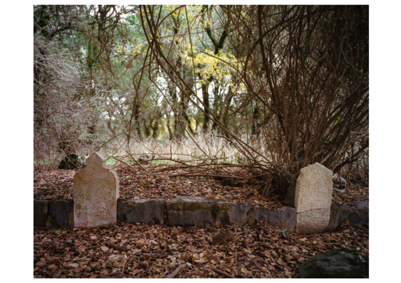 Mansura's cemetery © MS