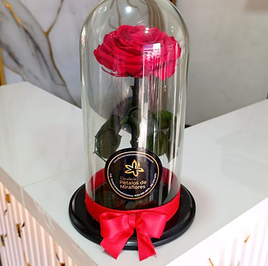 rosa-preservada-roja-dia-de-la-madre-cali.jpg.jpeg