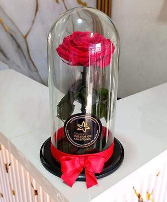 rosas-preservadas-cali.jpg