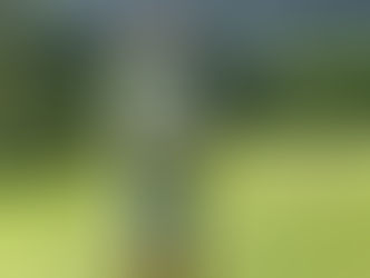 Honu Putter Science at Work