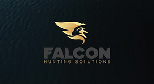 Falcon Solution