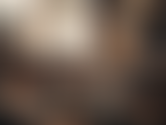 福岡県八女市のPeerlessトランスなど、ビンテージオーディオ・真空管買取強化中!