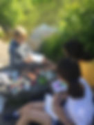 IMG_2831.jpeg