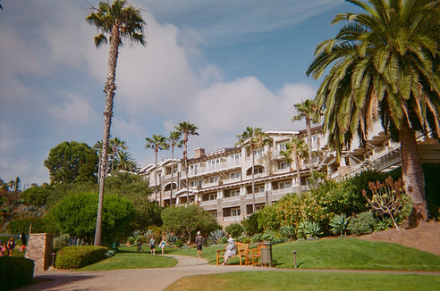 paradise.jpg
