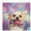 Thumbnail: Chihuahua Card